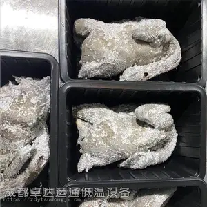 ����ʯ����������Һ���ٶ���۸�ZDYT/SDX-2