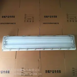 BYSϵ�з�������ȫ��ӫ���/��������ӫ���BYS-2*40W
