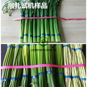 蔬菜扎捆机蒜苔捆绑机小型农用蒜苔捆扎机无胶环保蔬菜捆绑机