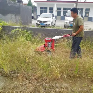 ũ�����ͼ��ݻ� ��������԰���ݻ� ʥ³ũ���԰�Ӳ��޼���