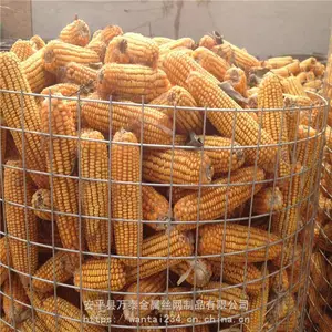 ��̩ Ȧ���׸ְ������� ���͸ְ����۸� 