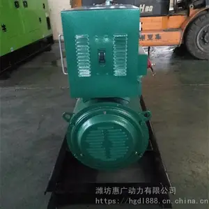 Ϋ������20KWǧ��ȫͭ���ͷ������ ˫��2100���ͷ����