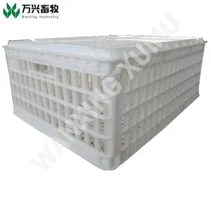 蛋鸡***笼 成鸡运输笼 塑料鸡筐