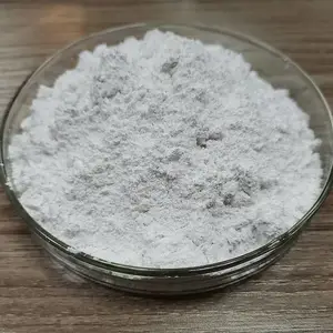 ̼��� Ϳ�� ���ӷ��ó�������̼��Ʒ� ɲ��Ƭ�ظƷ� �����ҵ