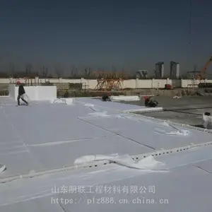 广东车库虹吸排水系统/14高分子防护排水异形片/复合排水板