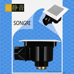 �Ϻ�����SONGRI�����ܵ������� �컨�������ԡ������ ͨ���