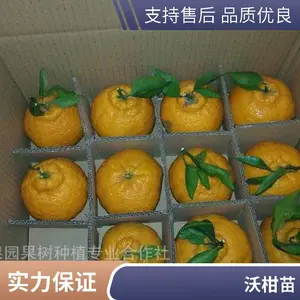 �ļ����̸����� 1����С�� �������� ֧�ֶ��� ���ҹ�Ӧ