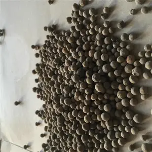 ������������ ������Ȫ ˮ����������������