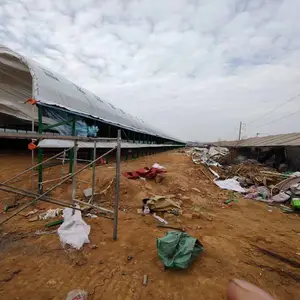 养殖大棚 育雏温室 小鸡崽棚 简易大棚 保暖抗雪抗风