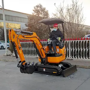 25����������Ǯ ��ˮ���� 25���ڻ� ũ������ֲ ������������Ǯ