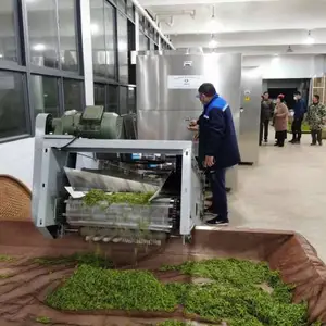 黄花菜烘干杀青设备能用微波设备加工