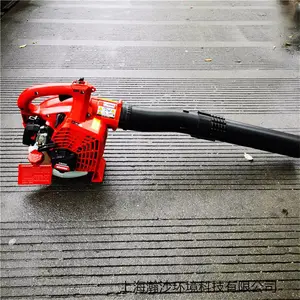 ����ʽEB252���ʹ����԰��ͥԺ����Ҷ���ҳ�����