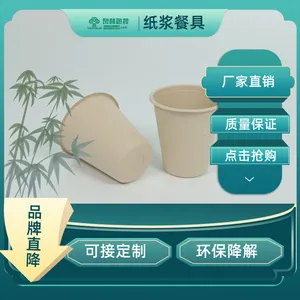一次性盘子沙拉盘中餐盘