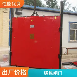 ��Ӧ�綯��բһ������բ�� DPZ˫��������բ��