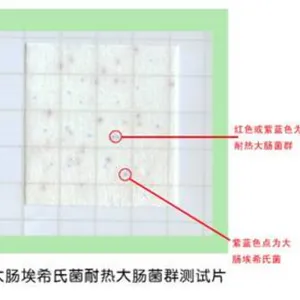 微生物测试片 副溶血弧菌检测纸片 生化显色计数法 24片/包