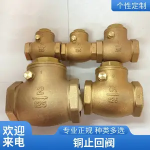��ֹͭ�ط� ȫͭ �������� DN125 ���ͱ�վ���� ���ż���