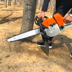 �������������� ɼ�������������Ʒ�