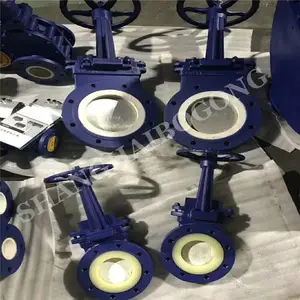 ��巧 PZ673TC-10C ˫������ ��ĥ�մ���������բ�� DN300