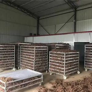 热泵马齿苋烘干机-迈特思机械(在线咨询)-武胜县马齿苋烘干机