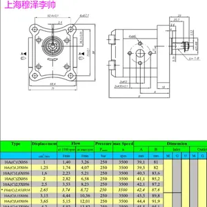 Caproni液压齿轮泵10C6.1X056旋转右顺时针类型X056