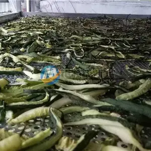 贝类烘干房-迈特思机械-贝类烘干房厂家