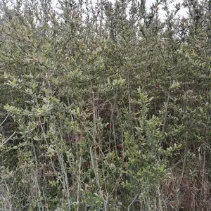 ���������������� 2�׸��������� 3�׸������������� ���ź���