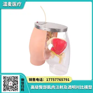 ����ҽ�� ***�β�����ע�估͸���Ա�ģ�� �����ṹ ��Ѫ��ϵͳ
