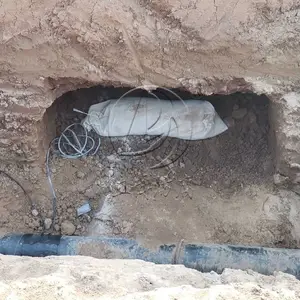 þ�Ͻ��������� ��˹�ص�ò�����������߷���