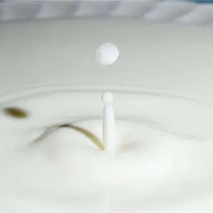 天然乳胶专用水性防老剂1005请选择南通新长化学,有效防老化,可寄样