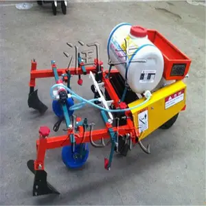 ��������Ĥ�ϴ�ײ��� ���Ĥ���ֻ� �ȸ�Ĥ�������ֻ�