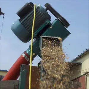 ��������װ���� �����޳����������� ��� С�����������������ӱ�
