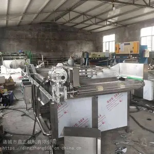 多功能果蔬气泡清洗机 土豆大姜清洗去杂机 高压喷淋清洗机