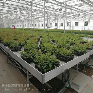 潮汐灌溉式移动苗床-汉明新型潮汐灌溉式移动苗床亮点