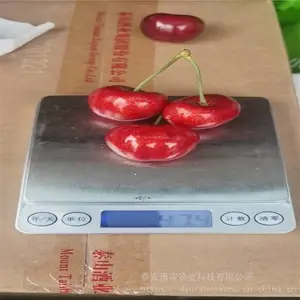 ������ӣ����ԭ���� ��ũ�����Ʒ��ӣ���� �Ϻ�ɫ����������
