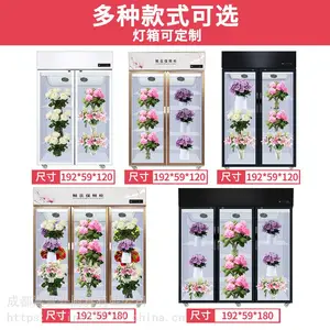 ��ѩ�ʻ����ʹ� ����չʾ��ع� �����ʻ���ع�