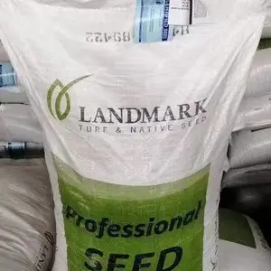 ���۲�˹�ջ��� ��������������� ����������˿��