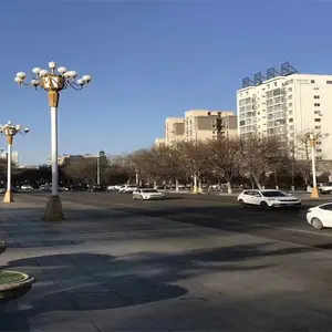 12米市电LED灯批发-中汾亚明建设集团(推荐商家)