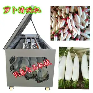 不锈钢白萝卜清洗机，果蔬***清洗设备