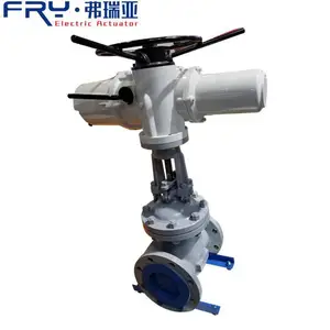 Z941Y-25 PN2.5 DN250 �и�ѹ����բ�� ���ܵ綯���Ʒ� ���ת�綯��