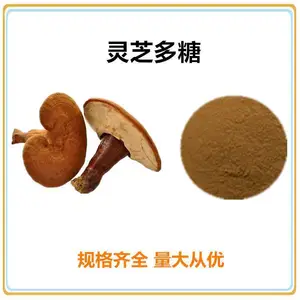 沃特莱斯生物 灵芝孢子粉 *** 水溶粉 灵芝多糖 100目