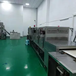 微波自动化烘干 烘干设备 微波定制设备 控温烘干