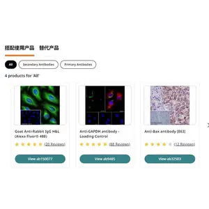 Abcam Anti-beta Actin���� ab8227 �ڲο��� 100ul ��Ʒ�ֻ�