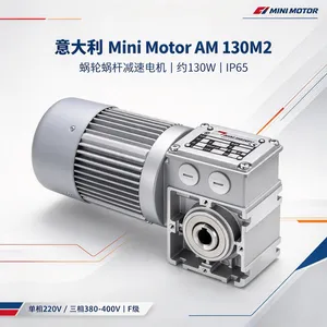 �����Mini Motor AM 130M2���ּ��ٵ�� 130W IP65 �Զ���������
