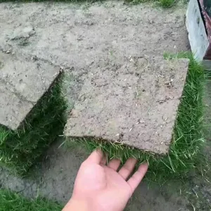 ��̶***��Ƥ�۸� ��̶��ƺʲô��� ��̶��������ƺ�̻���·