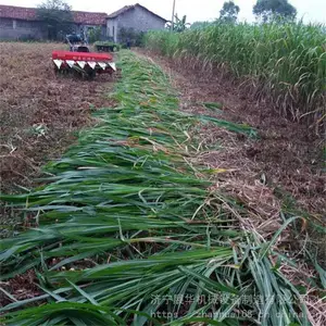 120��ĸ���ո����������ҩ���ո�������ձ���С�͸�ɹ��