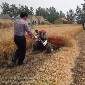 ���������ո�� С��Ͷ��ͨ���͸�ɹ�� ����ɣ���ո��