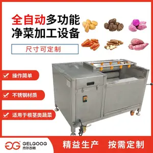 宁波土豆去皮机 哪里有土豆去皮机卖 杰尔古格食品机械