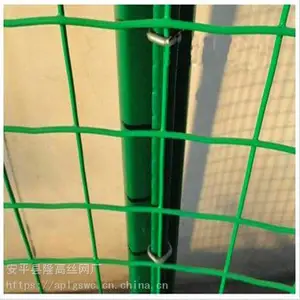 隆高浸塑荷兰网 养殖防护网 养鸡鸭绿色铁丝网