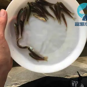 ����������ֳ��������������������������
