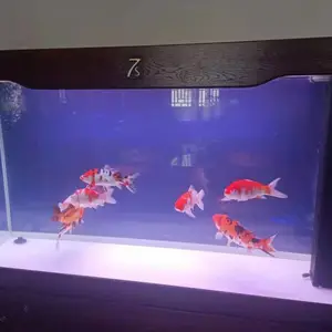 ʯ��ׯ�����������ϴ